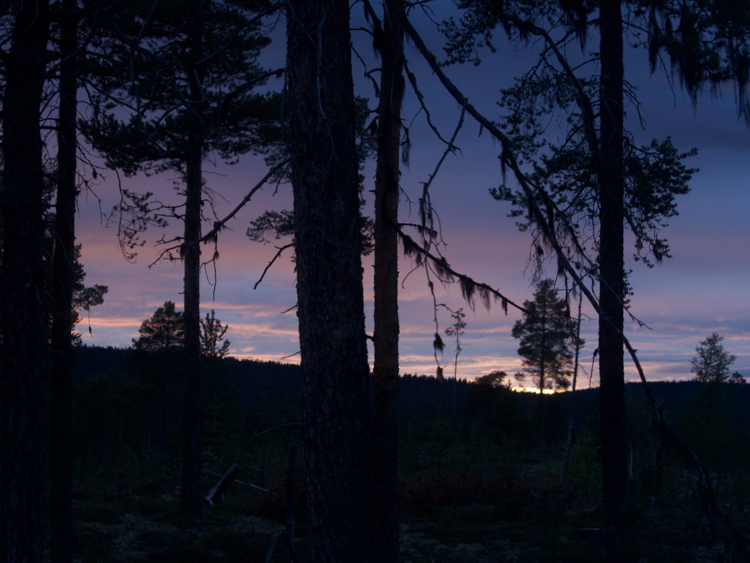 Reisebericht Finnland Cosmopolit X